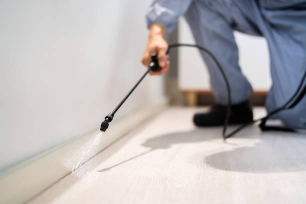 Licensed Pest Control service in Chattahoochee Hills, GA - Show Me Pest Control
