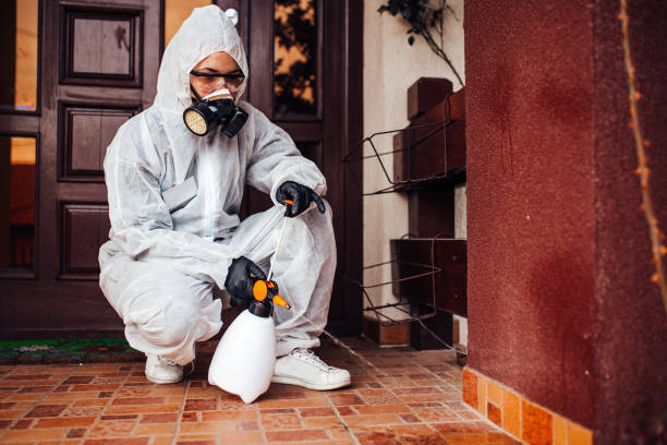 Attic and Crawl Space Rodent Treatment in Chattahoochee Hills