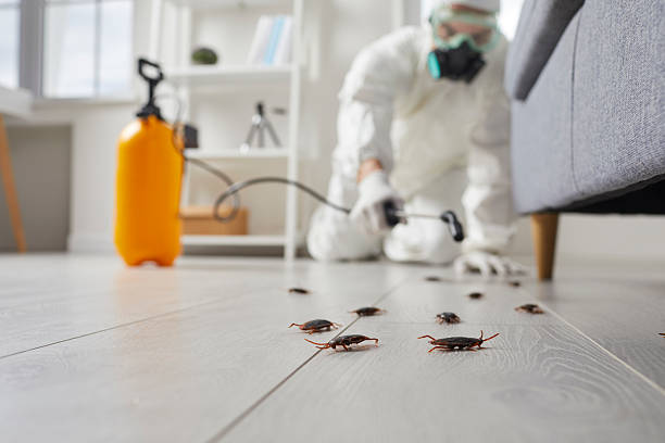 Commercial Rodent Management in Chattahoochee Hills